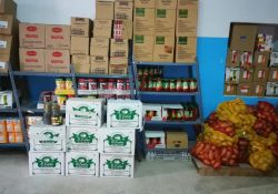El Ayuntamiento de Guareña organizará un desayuno saludable con los colegios de la localidad y repartirá botellas de aceite entre los alumnos