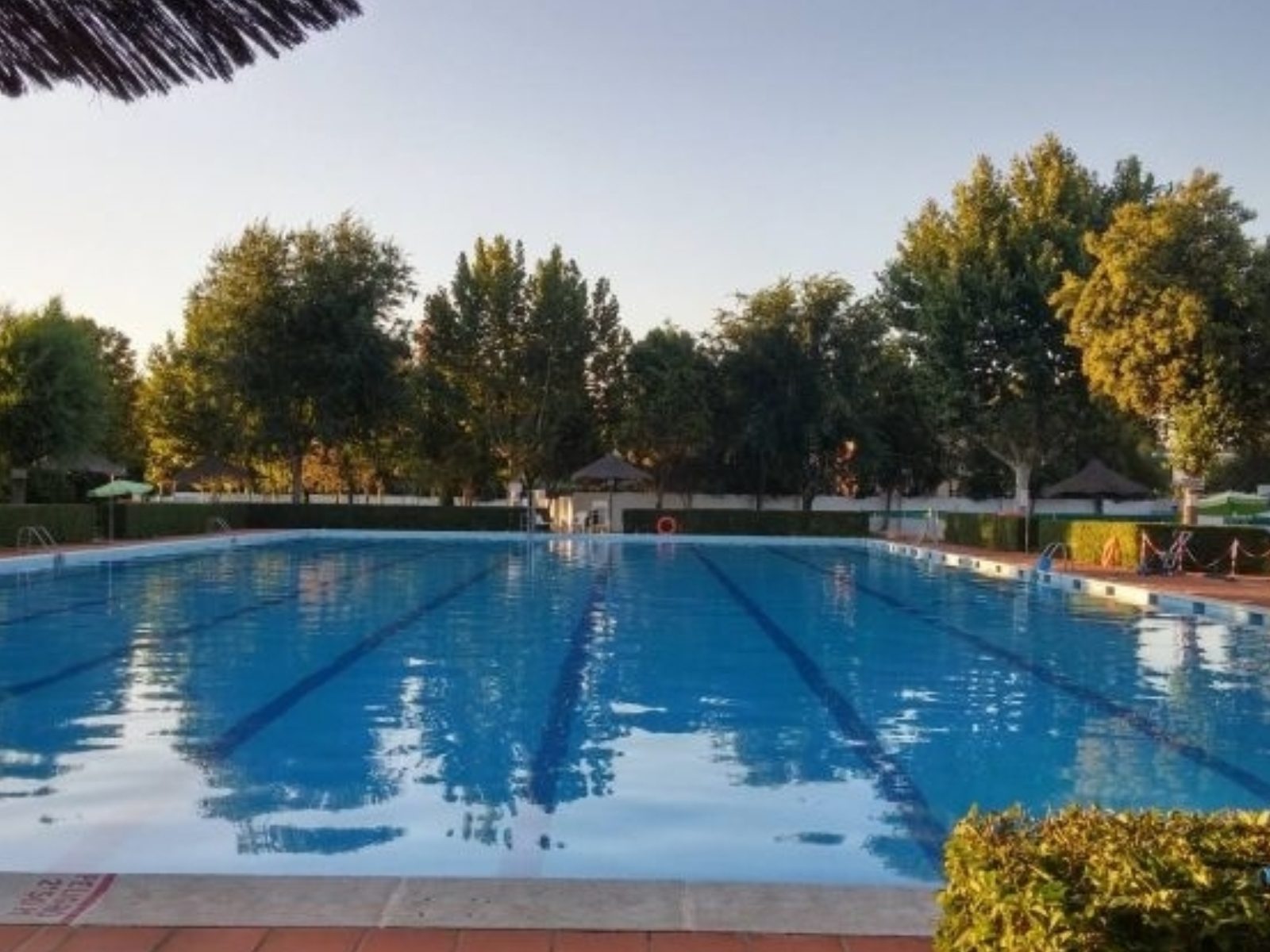 bonos-temporada-estival-piscina-guarena-2026-f2