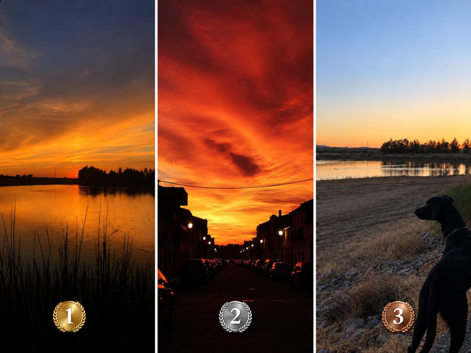 Fallo del Jurado del I Certamen Fotográfico «Un Atardecer en Guareña»