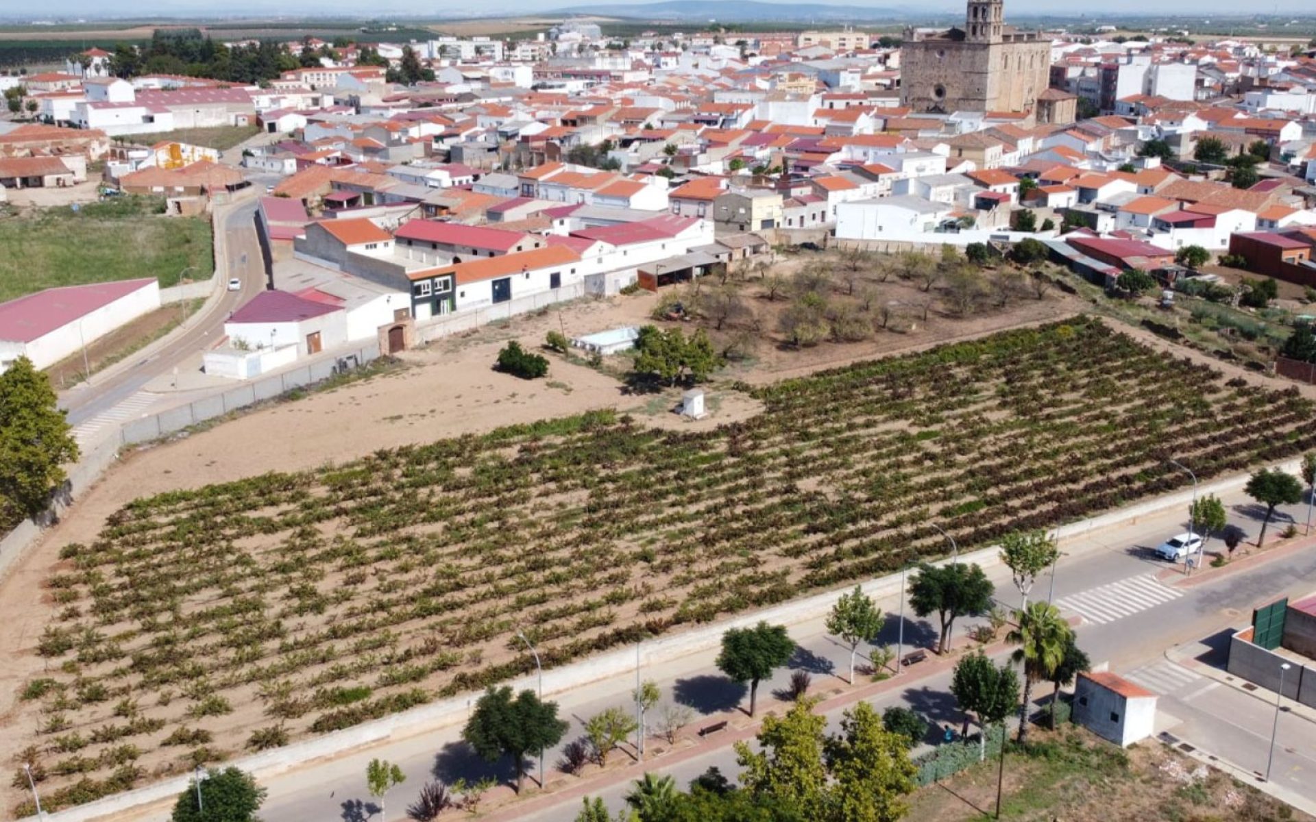 La Junta de Extremadura autoriza la contratación de las obras del Centro Sociosanitario de Convalecencia y Cuidados de personas mayores de Guareña